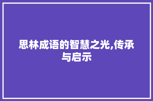 思林成语的智慧之光,传承与启示
