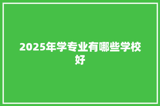2025年学专业有哪些学校好