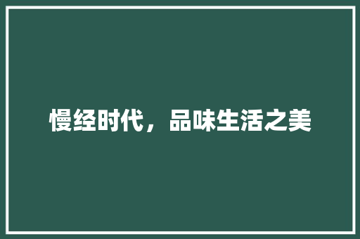 慢经时代，品味生活之美