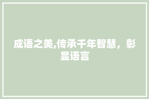 成语之美,传承千年智慧，彰显语言