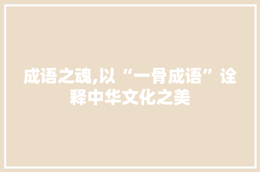 成语之魂,以“一骨成语”诠释中华文化之美