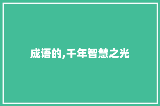 成语的,千年智慧之光