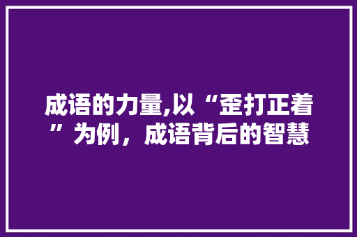 成语的力量,以“歪打正着”为例，成语背后的智慧 合同协议