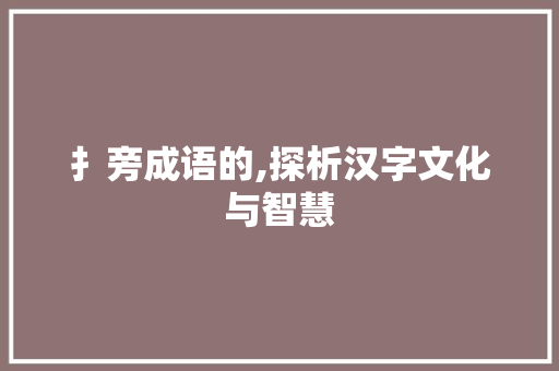 扌旁成语的,探析汉字文化与智慧
