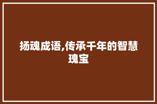扬魂成语,传承千年的智慧瑰宝