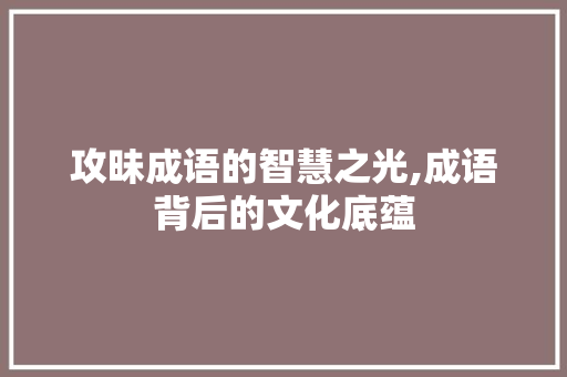 攻昧成语的智慧之光,成语背后的文化底蕴