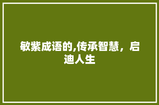 敏紫成语的,传承智慧，启迪人生