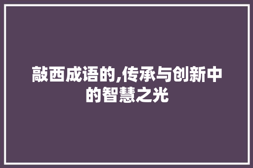 敲西成语的,传承与创新中的智慧之光