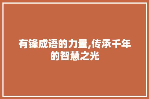 有锋成语的力量,传承千年的智慧之光