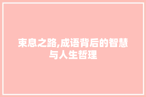束息之路,成语背后的智慧与人生哲理