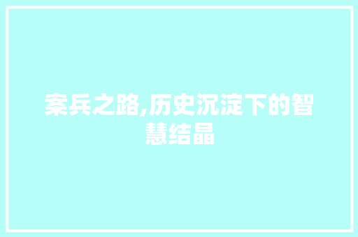案兵之路,历史沉淀下的智慧结晶