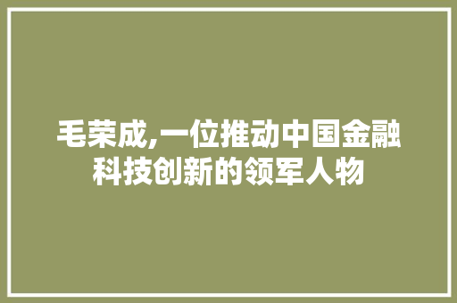 毛荣成,一位推动中国金融科技创新的领军人物