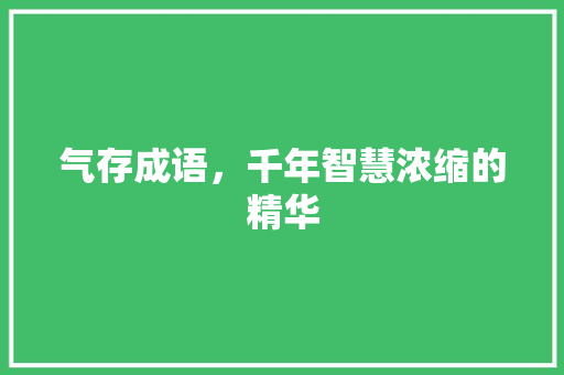 气存成语，千年智慧浓缩的精华