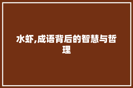 水虾,成语背后的智慧与哲理