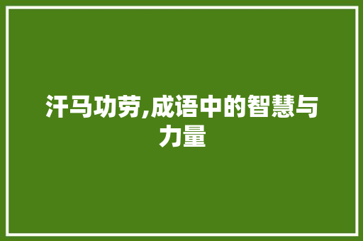 汗马功劳,成语中的智慧与力量
