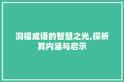 洞福成语的智慧之光,探析其内涵与启示