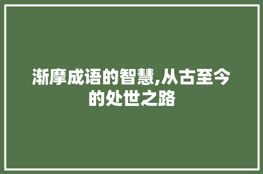 渐摩成语的智慧,从古至今的处世之路
