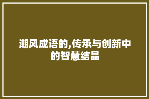 潮风成语的,传承与创新中的智慧结晶