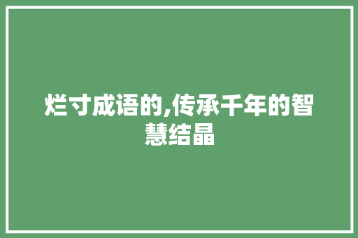 烂寸成语的,传承千年的智慧结晶