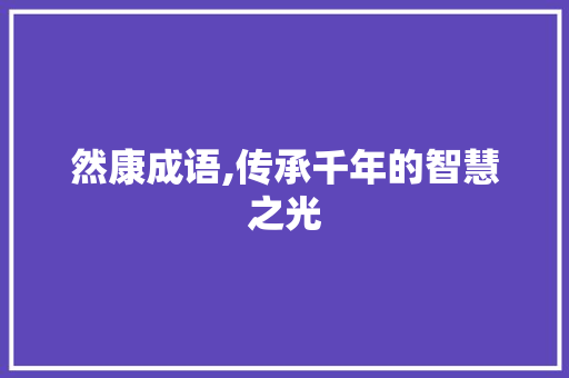 然康成语,传承千年的智慧之光