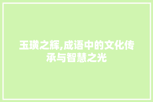 玉璜之辉,成语中的文化传承与智慧之光