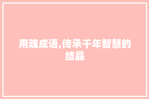用魂成语,传承千年智慧的结晶
