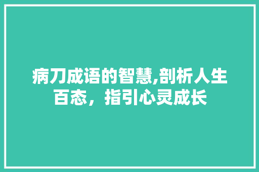 病刀成语的智慧,剖析人生百态，指引心灵成长