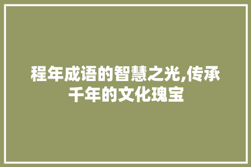 程年成语的智慧之光,传承千年的文化瑰宝