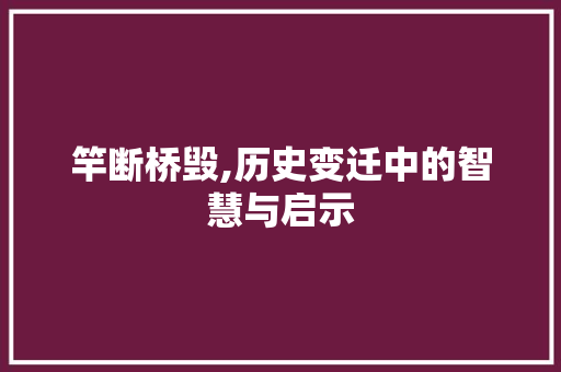 竿断桥毁,历史变迁中的智慧与启示