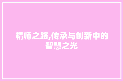 精师之路,传承与创新中的智慧之光
