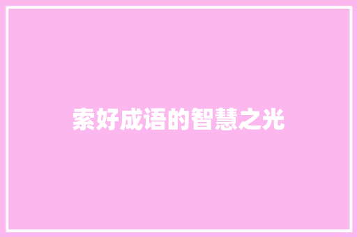 索好成语的智慧之光