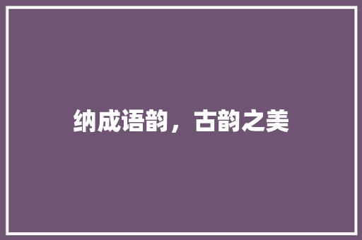 纳成语韵，古韵之美