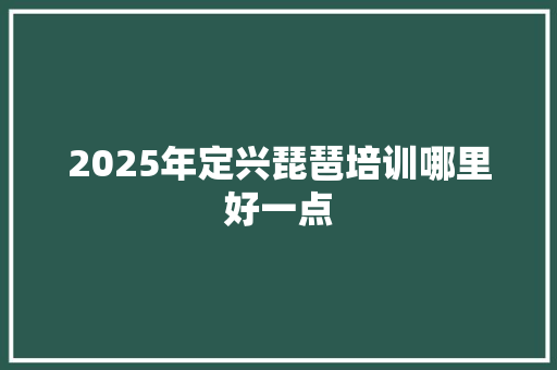 2025年定兴琵琶培训哪里好一点