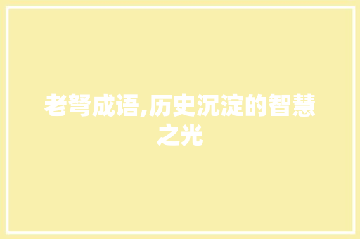 老弩成语,历史沉淀的智慧之光