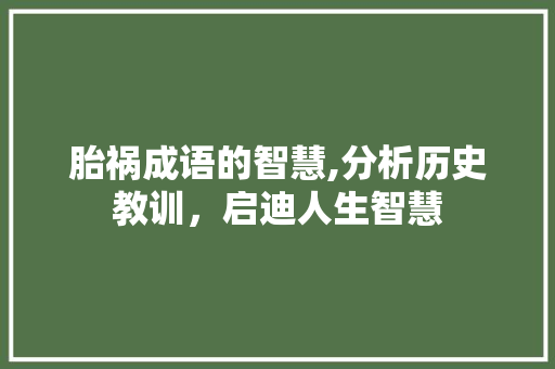 胎祸成语的智慧,分析历史教训，启迪人生智慧