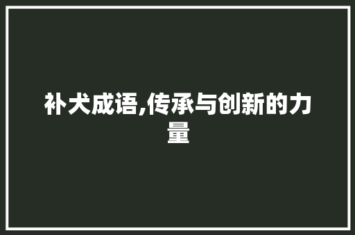 补犬成语,传承与创新的力量