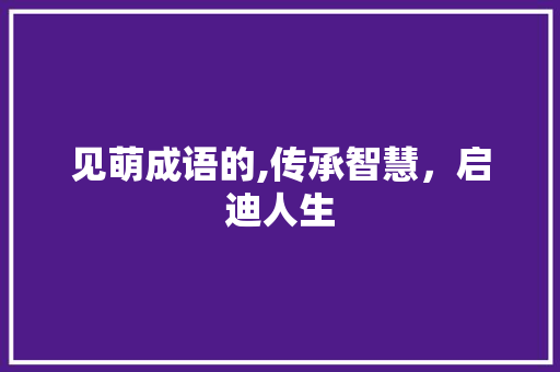 见萌成语的,传承智慧，启迪人生