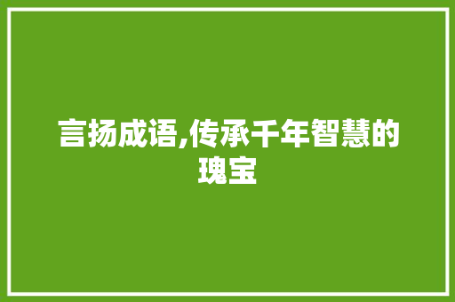 言扬成语,传承千年智慧的瑰宝