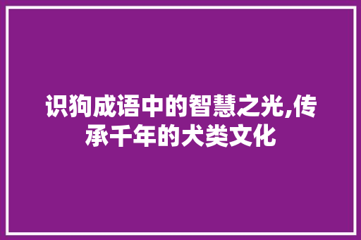 识狗成语中的智慧之光,传承千年的犬类文化