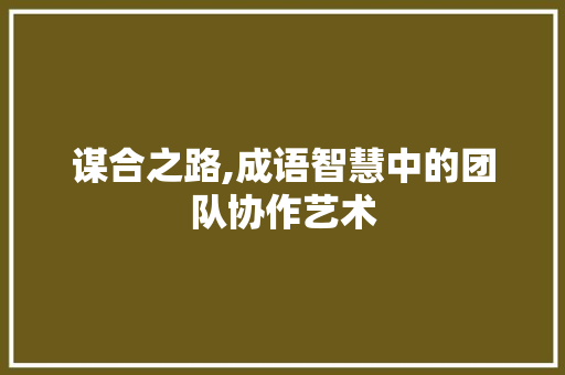 谋合之路,成语智慧中的团队协作艺术