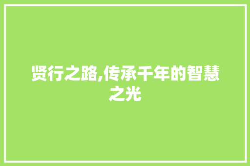 贤行之路,传承千年的智慧之光
