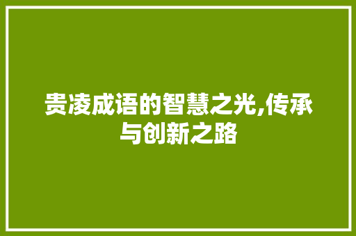 贵凌成语的智慧之光,传承与创新之路