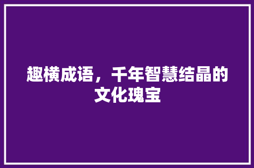 趣横成语，千年智慧结晶的文化瑰宝