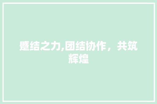 蹙结之力,团结协作，共筑辉煌