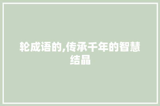 轮成语的,传承千年的智慧结晶