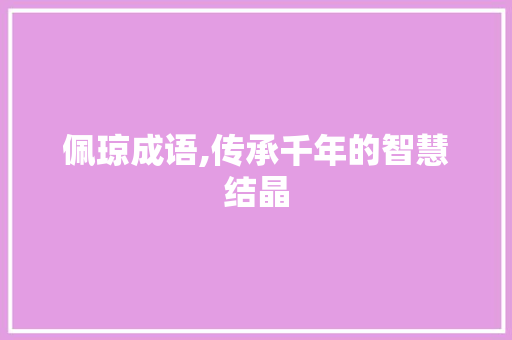 佩琼成语,传承千年的智慧结晶