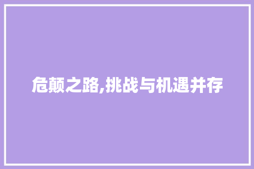 危颠之路,挑战与机遇并存