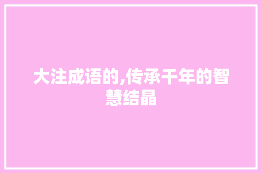 大注成语的,传承千年的智慧结晶