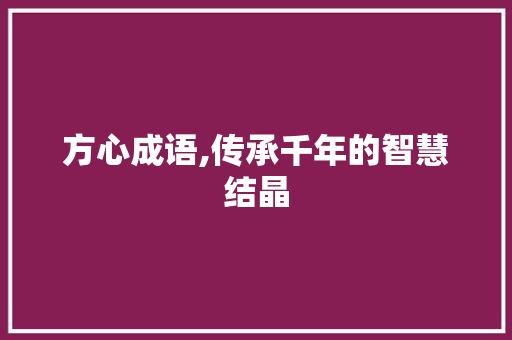 方心成语,传承千年的智慧结晶