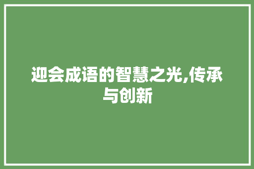 迎会成语的智慧之光,传承与创新